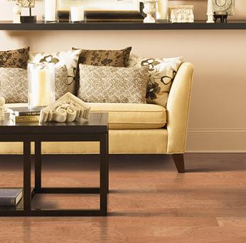 Alexander Smith Hardwood Collection Abbey Carpet Floor