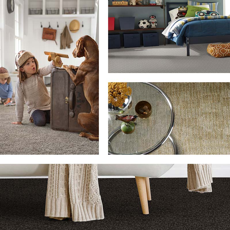 Pet Defense carpet exclusively at Floors To Go.
