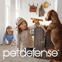 Pet Defense carpet exclusively at Floors To Go.