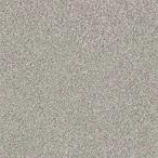 ADORING COMPANION / OPAL GREY